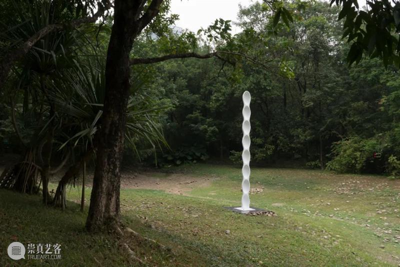 艺术家｜苏畅：渐融与共生｜近期项目及雕塑实验回顾 崇真艺客