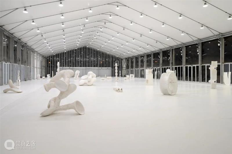 艺术家|苏畅:渐融与共生|近期项目及雕塑实验回顾 崇真艺客