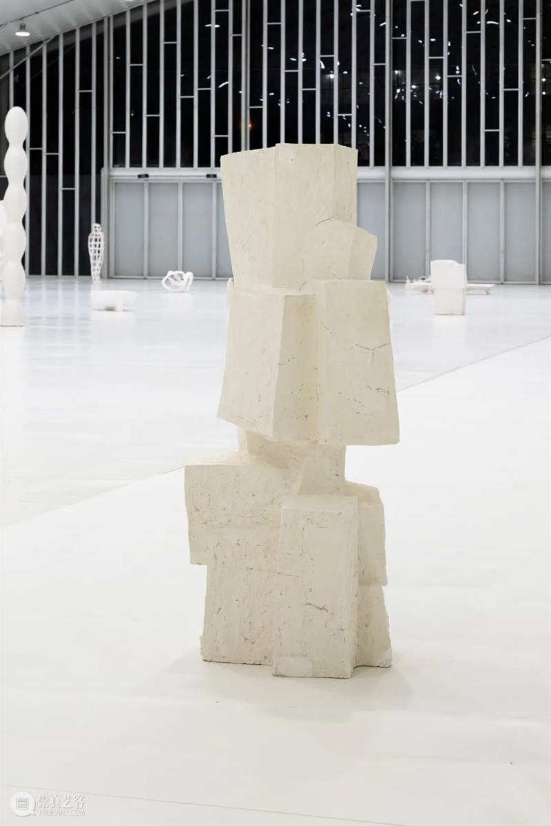 艺术家｜苏畅：渐融与共生｜近期项目及雕塑实验回顾 崇真艺客