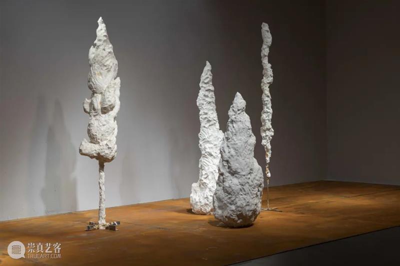 艺术家|苏畅:渐融与共生|近期项目及雕塑实验回顾 崇真艺客