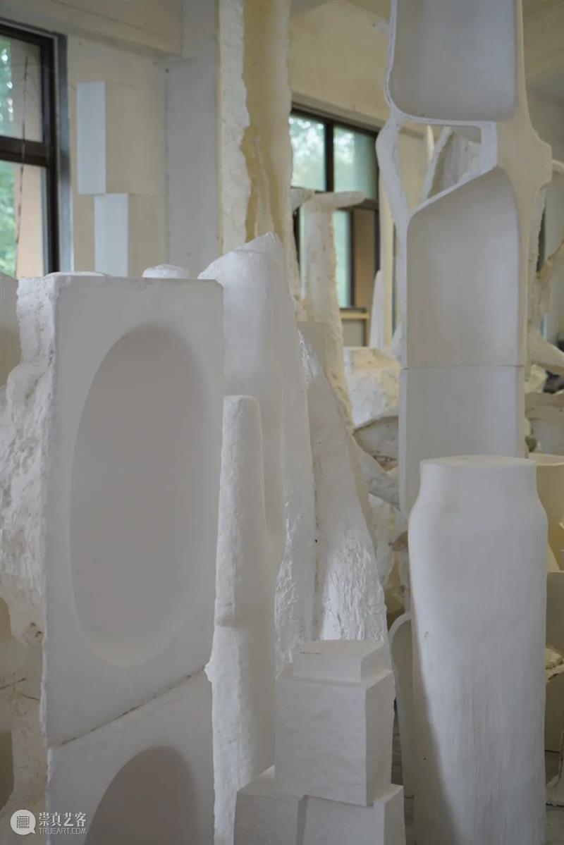 艺术家|苏畅:渐融与共生|近期项目及雕塑实验回顾 崇真艺客