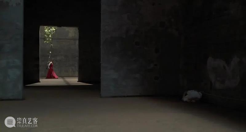 维姆·文德斯写给挚友罗伯特的诗｜展览延期 崇真艺客