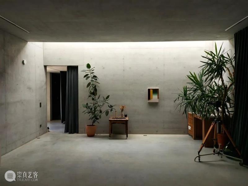 维姆·文德斯写给挚友罗伯特的诗｜展览延期 崇真艺客