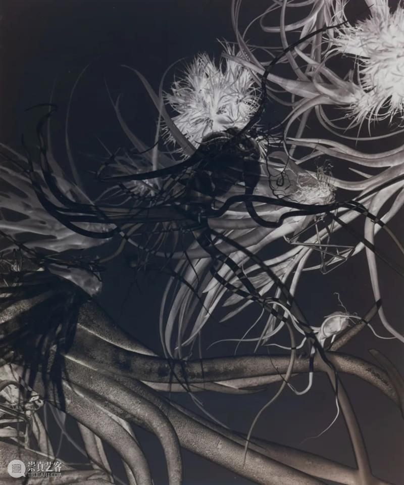 2022 ART021 | MAIN GALLERY 主画廊 PART 9 崇真艺客