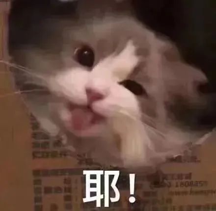 ​《长津湖》幕后纪录片定档；​汤唯提名青龙奖影后 视频资讯 Douban编辑部 崇真艺客