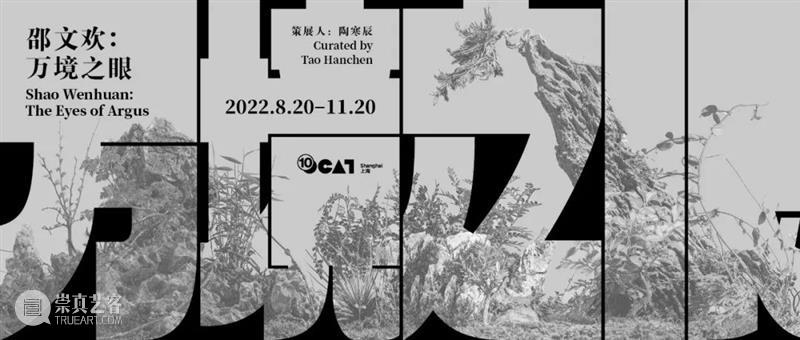 OCAT上海馆十周年特别项目@西岸艺术与设计博览会 崇真艺客