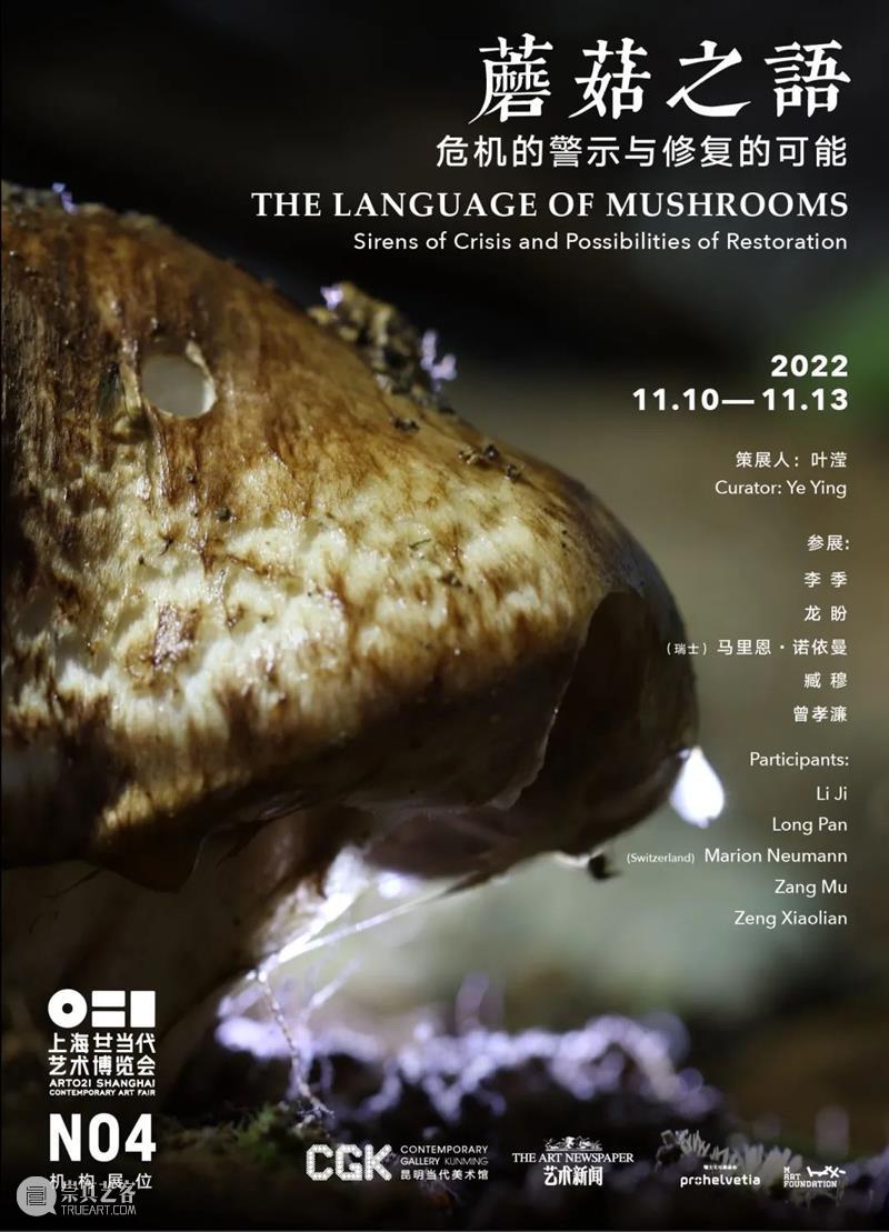 《蘑菇在说话》展映 | 松茸传来的讯息：气候变化下的孢子之语 崇真艺客
