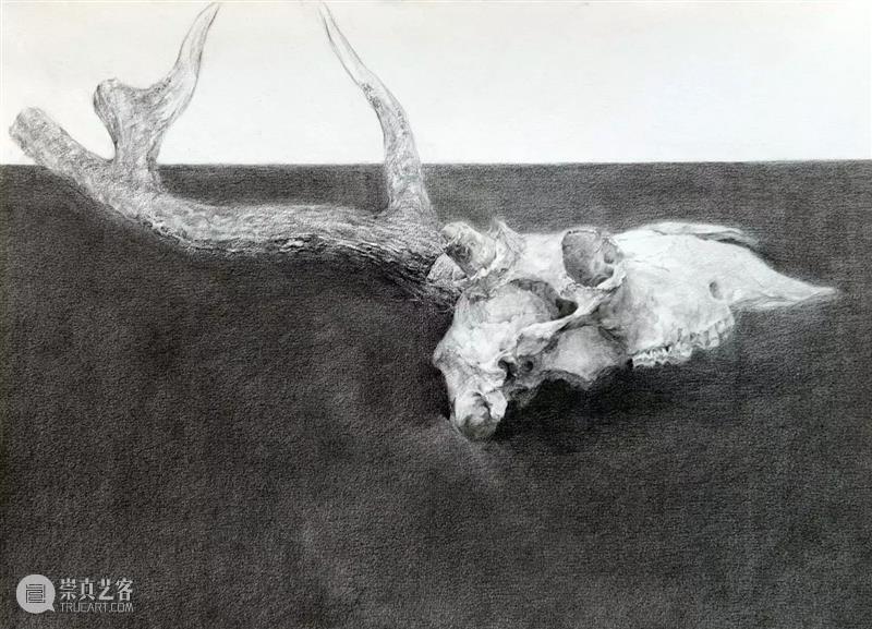 高中生画的精微素描竟然完全不输央美?小志,你不要拿照片骗我 !!!! 崇真艺客
