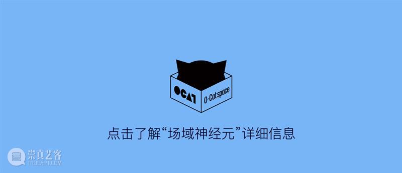 抓住那只猫 ———O-Cat space探险记 崇真艺客