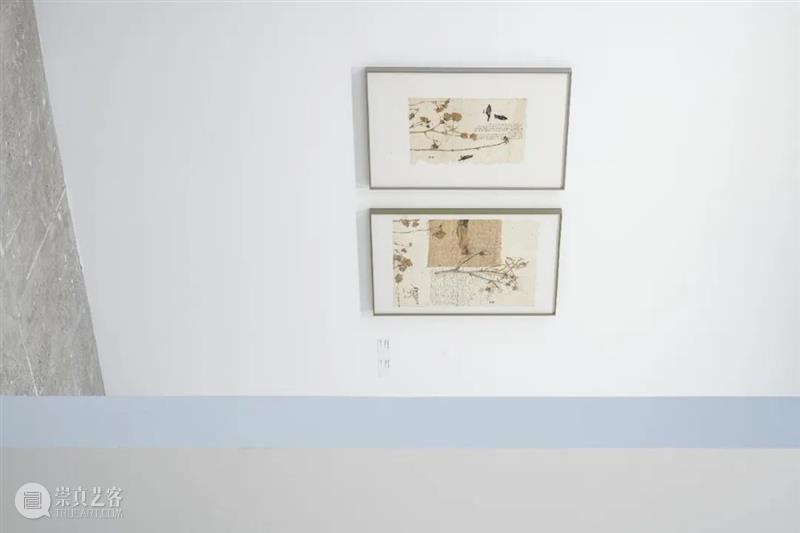 SGA 沪申画廊|现场 On view|展位 A207|WEST BUND 2022 崇真艺客