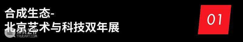 「未·未来」国际教育论坛即将启幕丨超越未见——新时代艺术设计学科发展的中国进路 崇真艺客
