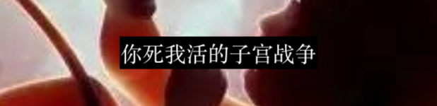 怀孕是战争,分娩是停火 崇真艺客