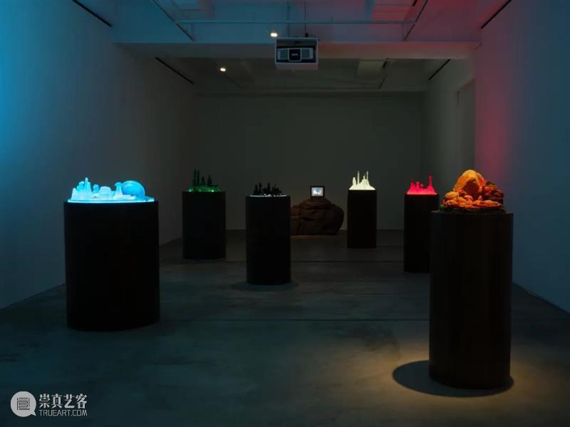 深度观展 | 迈克·凯利自述「坎多」系列创作过程 崇真艺客
