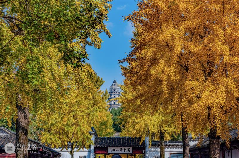 苏州游学丨风清露冷深秋浓,私藏着最诗意的江南(11/25-11/28) 崇真艺客