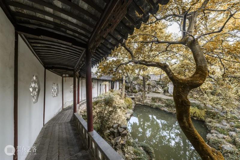 苏州游学丨风清露冷深秋浓,私藏着最诗意的江南(11/25-11/28) 崇真艺客
