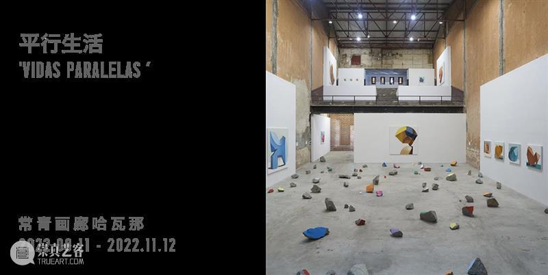 正在展出 | 陈箴正在参加龙美术馆十周年特展“存在于世”,展现生命的价值观以及它的脆弱性 崇真艺客