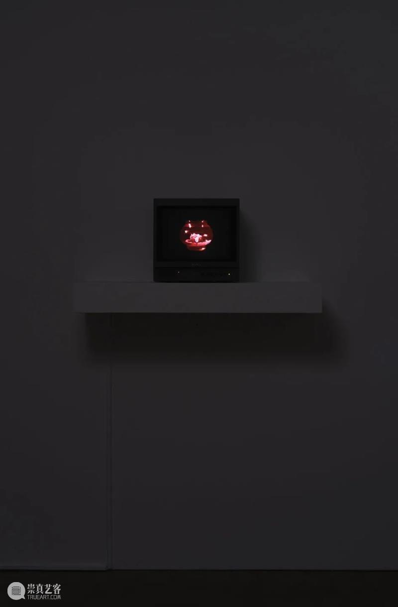 深度观展 | 李安琪撰文《迈克·凯利的“家”》 崇真艺客