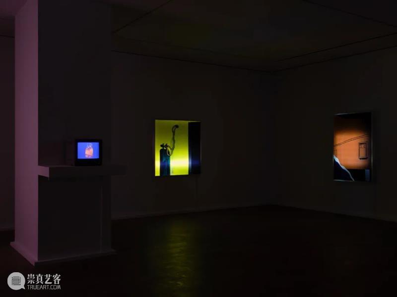深度观展 | 李安琪撰文《迈克·凯利的“家”》 崇真艺客