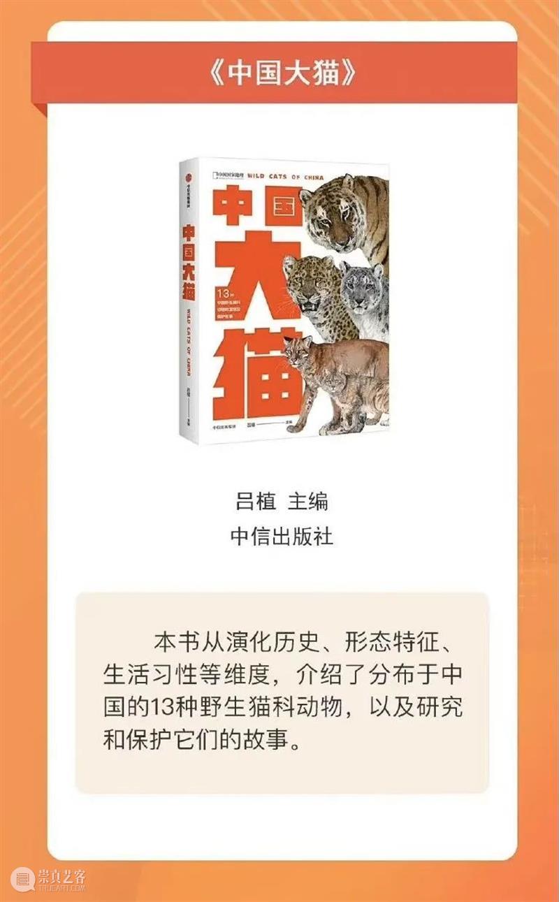 中国的13种野生猫猫，不许再说不认识！ 崇真艺客