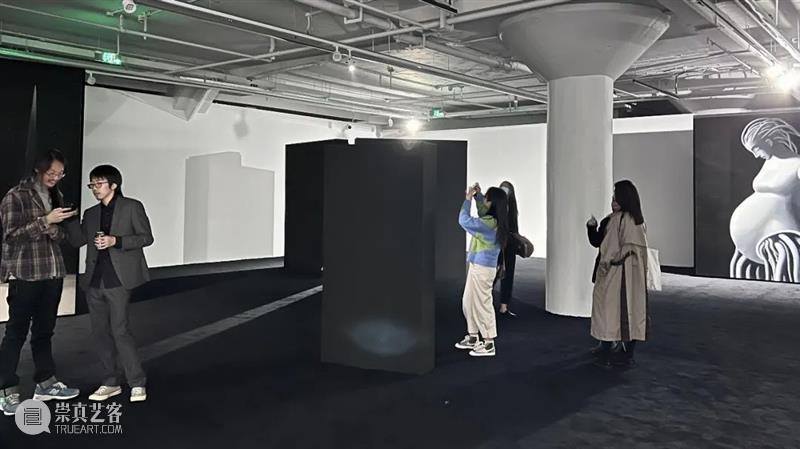 冬日奏鸣曲 l 蜂巢在上海艺术季 崇真艺客