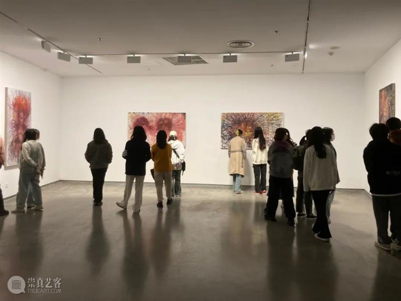 赵银鸥：我与我，我们，精神的颅骨丨AMNUA《通明》之祝福系列 崇真艺客