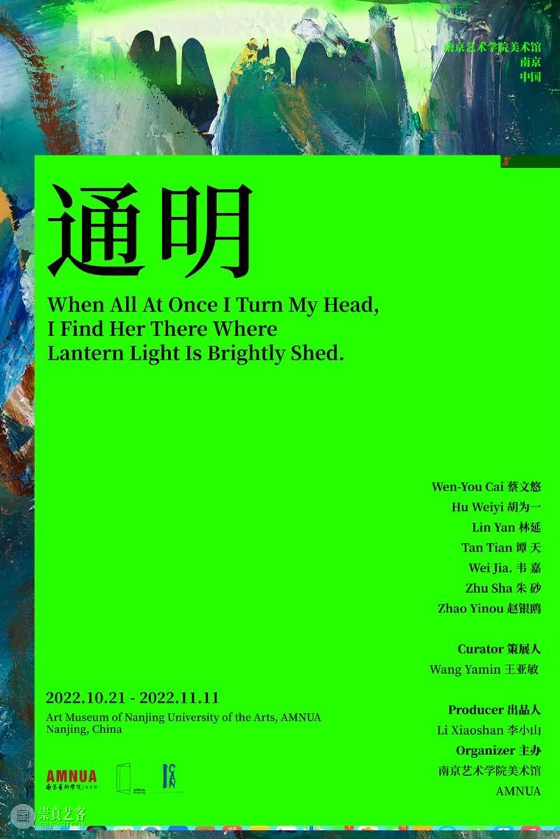 赵银鸥:我与我,我们,精神的颅骨丨AMNUA《通明》之祝福系列 崇真艺客