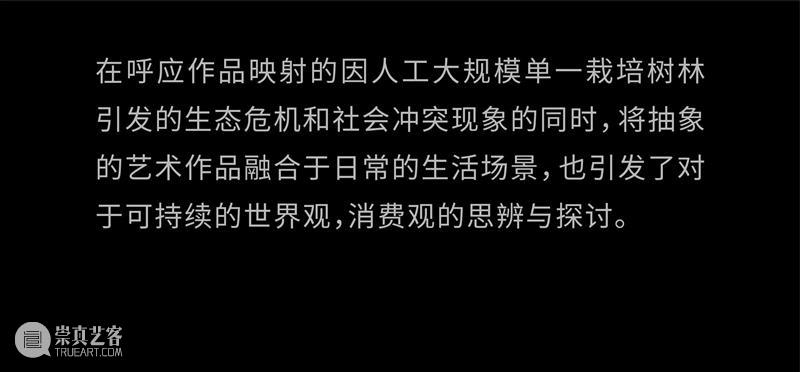 【NOA x Jimei Arles 】2022集美 · 阿尔勒国际摄影季,即将开幕 崇真艺客