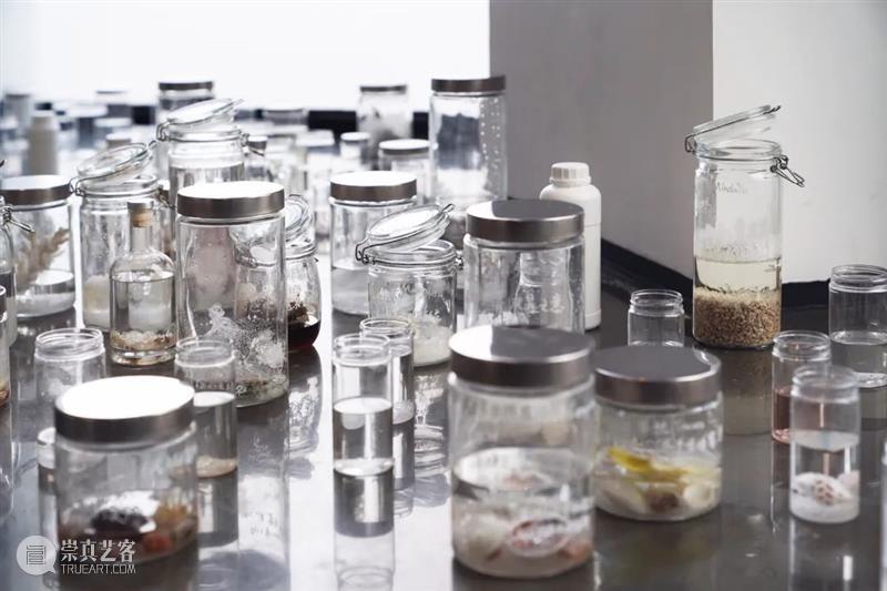 张翀：薛定谔的猫还在那个密闭的容器中 | 国家美术·专题 崇真艺客