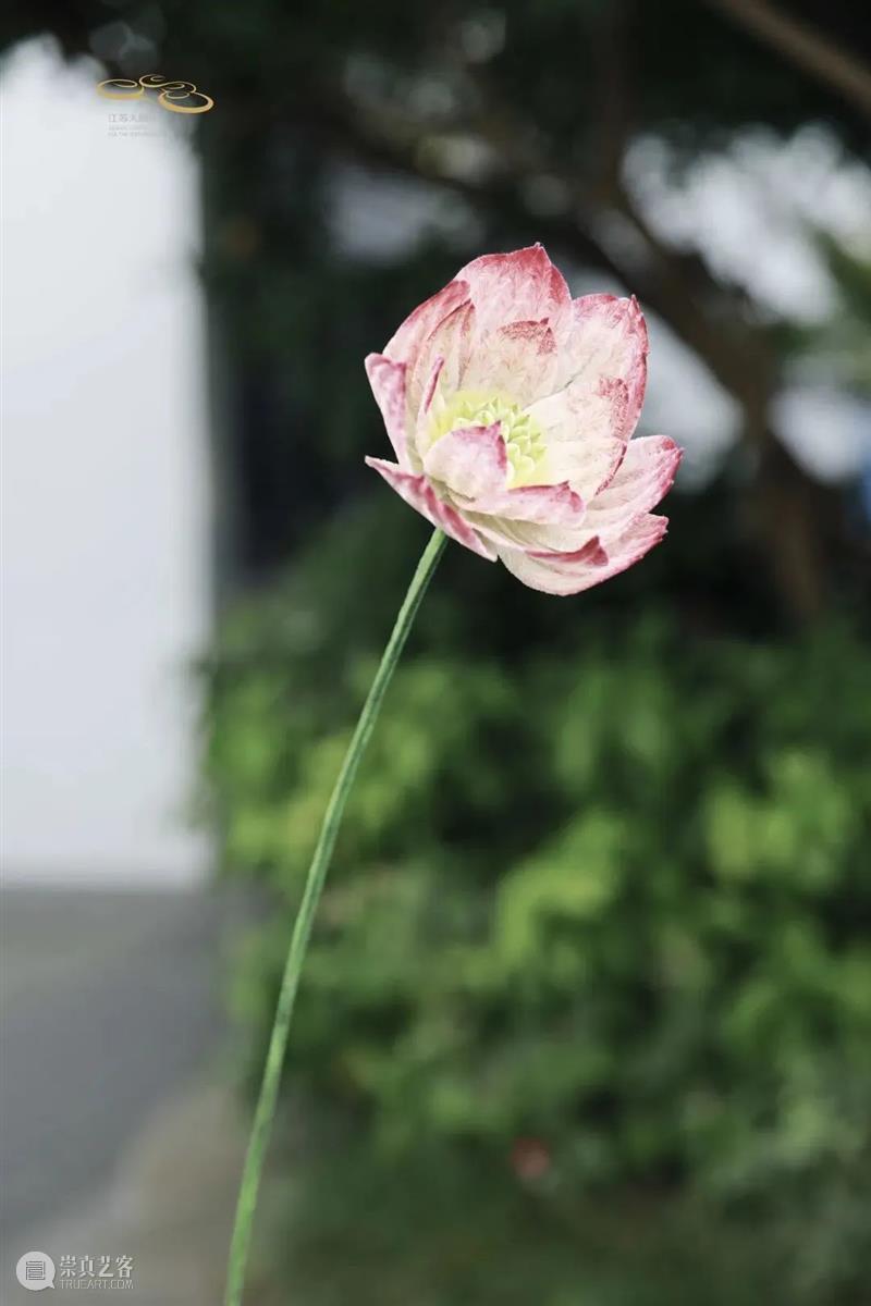 加场开票 | 十二金钗十二花,红楼梦外,非遗仙葩 崇真艺客
