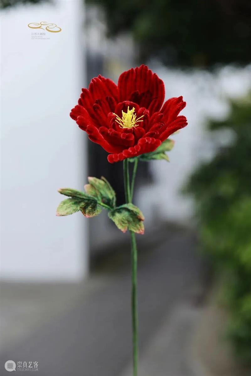 加场开票 | 十二金钗十二花,红楼梦外,非遗仙葩 崇真艺客