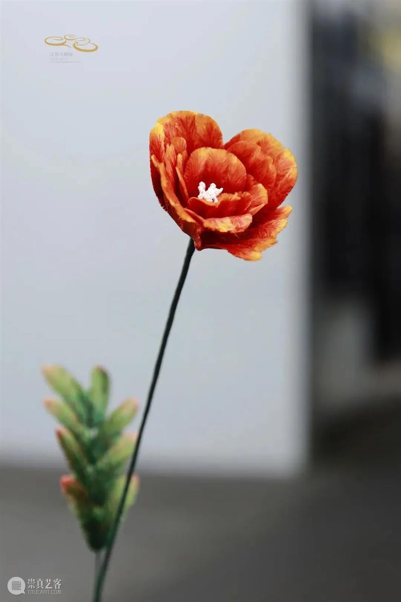 加场开票 | 十二金钗十二花,红楼梦外,非遗仙葩 崇真艺客