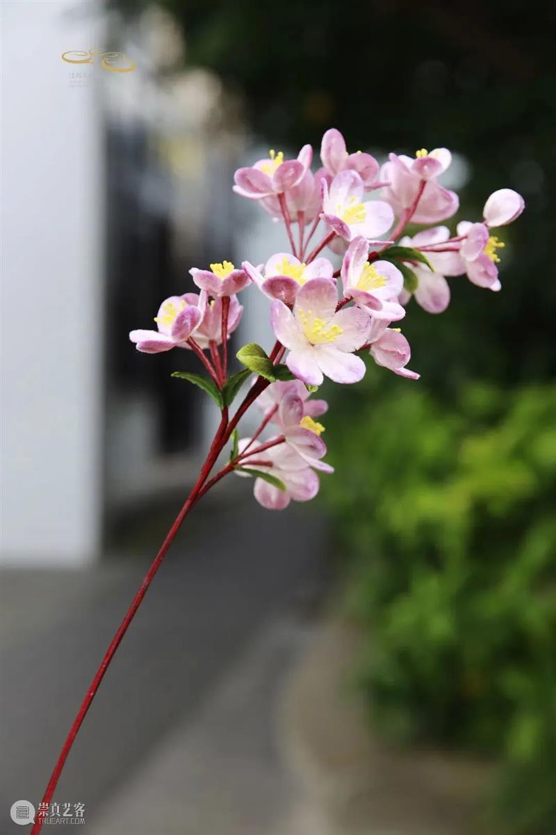 加场开票 | 十二金钗十二花,红楼梦外,非遗仙葩 崇真艺客