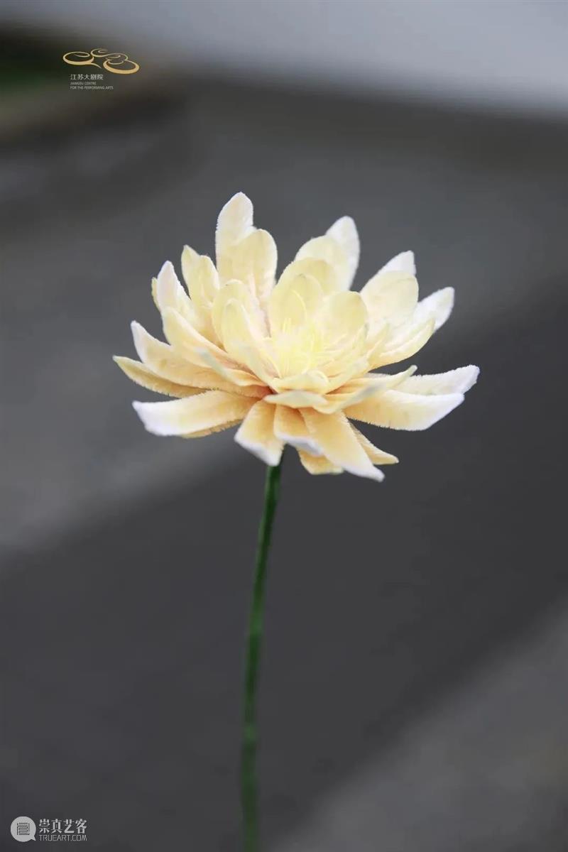 加场开票 | 十二金钗十二花,红楼梦外,非遗仙葩 崇真艺客