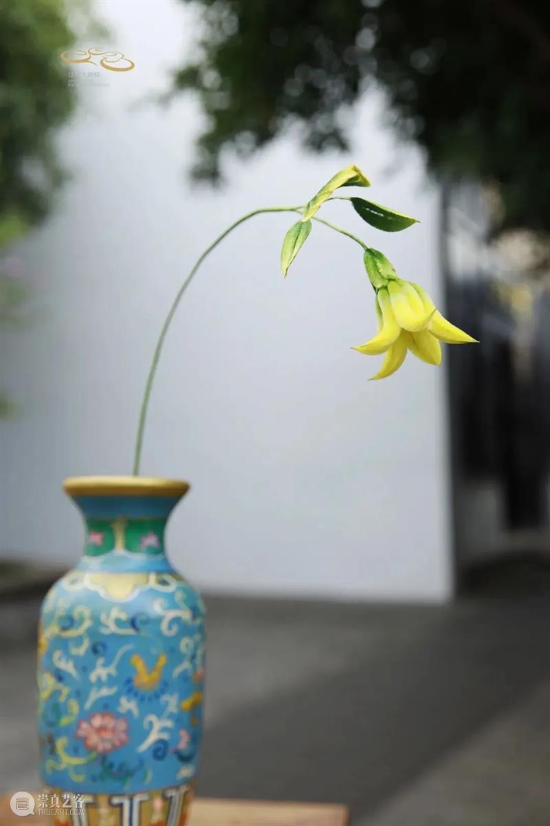 加场开票 | 十二金钗十二花,红楼梦外,非遗仙葩 崇真艺客