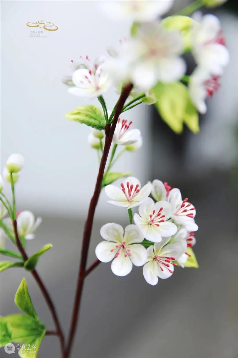 加场开票 | 十二金钗十二花,红楼梦外,非遗仙葩 崇真艺客