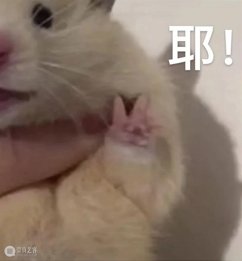 《真爱至上》20周年重聚节目预告；“茜茜公主”新片《紧身胸衣》定档 崇真艺客