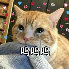 《真爱至上》20周年重聚节目预告；“茜茜公主”新片《紧身胸衣》定档 崇真艺客