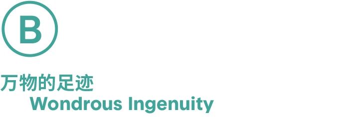 PAM预告｜【大万不插电】UABB2022坪山分展即将开幕 崇真艺客