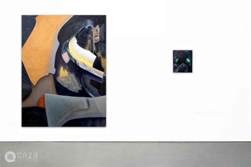 BP艺术家动态｜Johannes Bosisio 伦敦个展展评 崇真艺客
