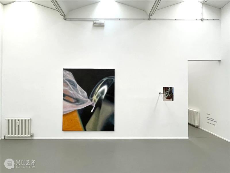 BP艺术家动态｜Johannes Bosisio 伦敦个展展评 崇真艺客