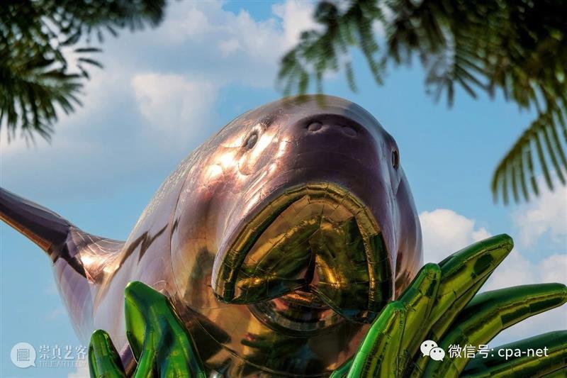 卡塔尔2022公共艺术指南 崇真艺客