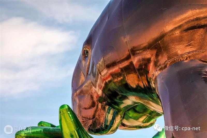 卡塔尔2022公共艺术指南 崇真艺客