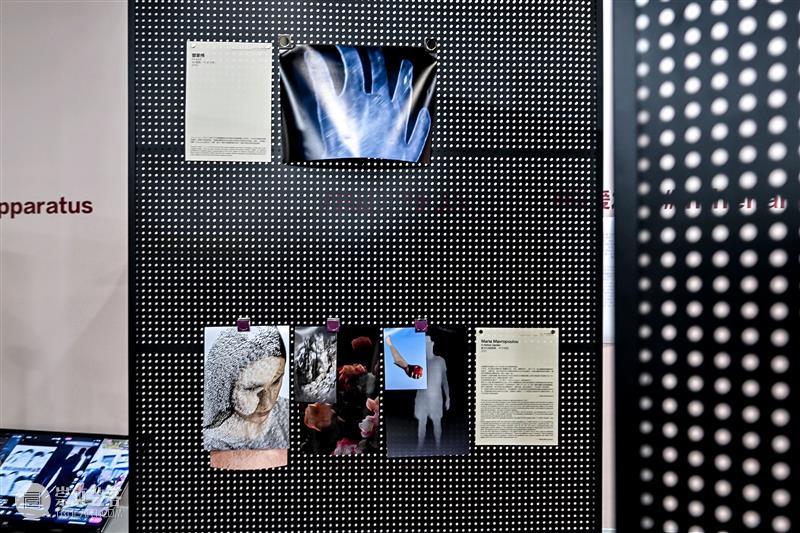 【官宣】王姝曼夺得2022集美·阿尔勒“影像策展人奖” 崇真艺客