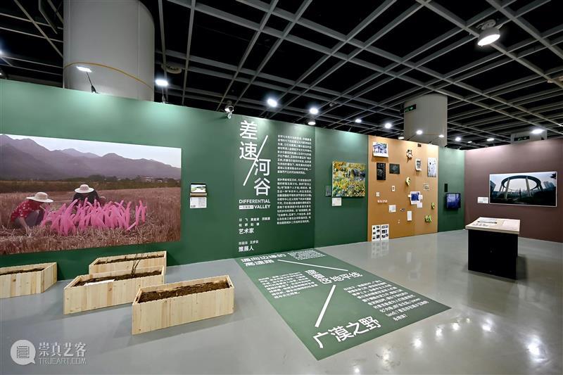 【官宣】王姝曼夺得2022集美·阿尔勒“影像策展人奖” 崇真艺客