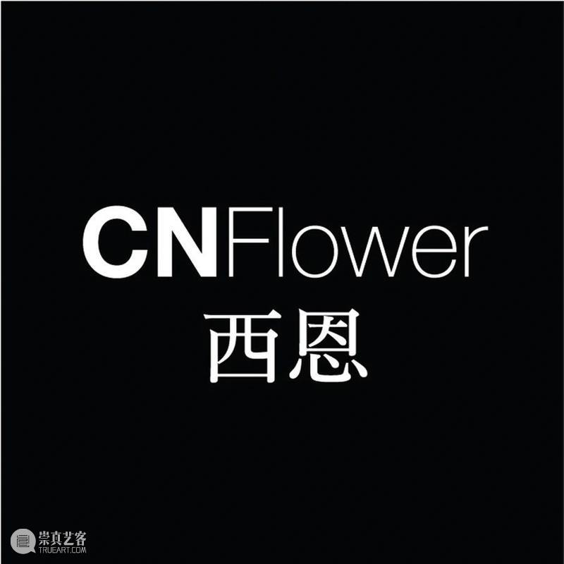 PAM预告｜【大万新发现】第九届深双坪山区分展作品先导 崇真艺客