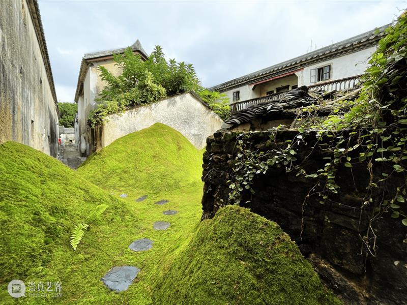 PAM预告｜【大万新发现】第九届深双坪山区分展作品先导 崇真艺客