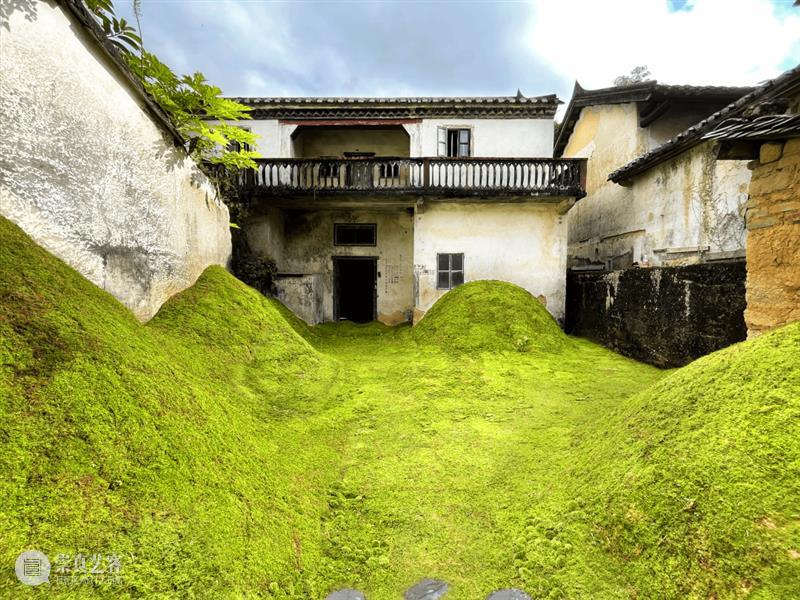 PAM预告｜【大万新发现】第九届深双坪山区分展作品先导 崇真艺客