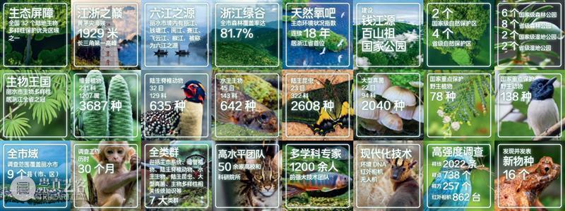 江南最后的秘境，凭什么是丽水？ 崇真艺客