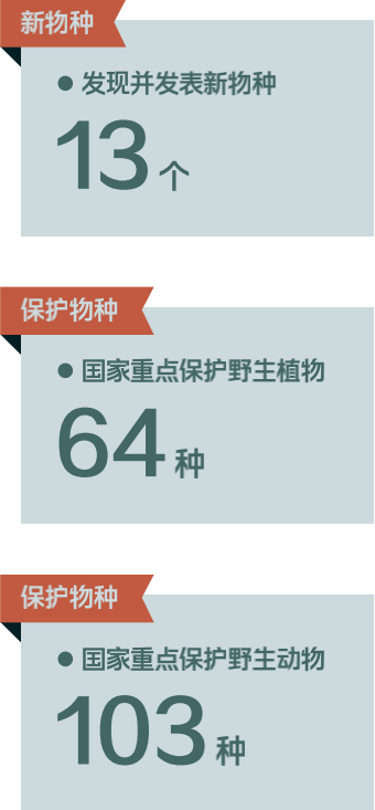 江南最后的秘境，凭什么是丽水？ 崇真艺客