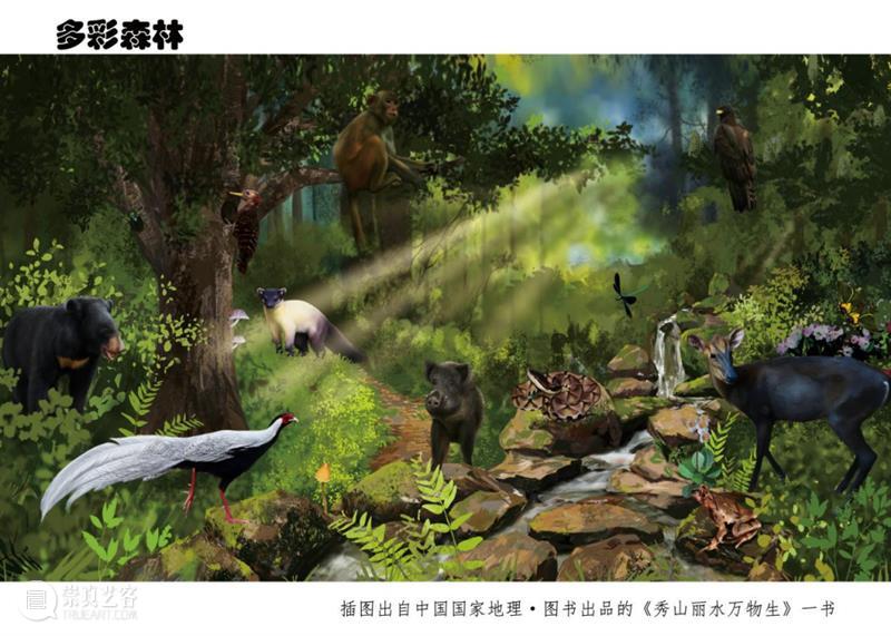 江南最后的秘境，凭什么是丽水？ 崇真艺客